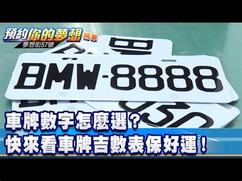 車牌號碼 意思|號牌大揭密之”數字會說話”!!